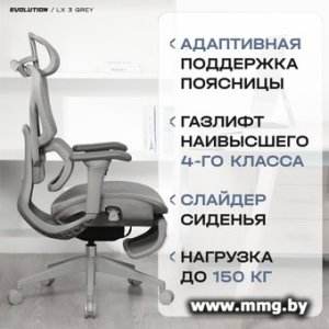Купить Evolution LX 3 Grey (серый) в Минске, доставка по Беларуси