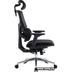 Купить Evolution LumbarPro AL (черный) в Минске, доставка по Беларуси