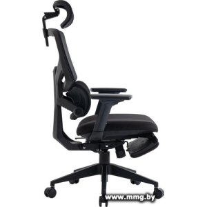 Купить Evolution LumbarPro FR (черный) в Минске, доставка по Беларуси