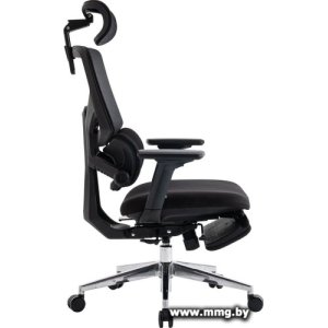 Купить Evolution LumbarPro FR AL (черный)) в Минске, доставка по Беларуси