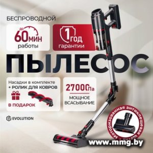 Купить Evolution Smart Clean VCF2712M в Минске, доставка по Беларуси
