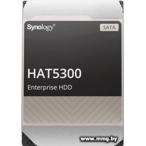 Купить 20000Gb Synology HAT5300 HAT5310-20T в Минске, доставка по Беларуси