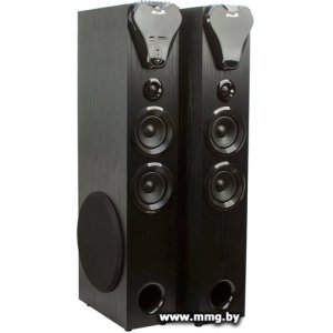 Купить Eltronic 20-80 Home Sound (черный) в Минске, доставка по Беларуси