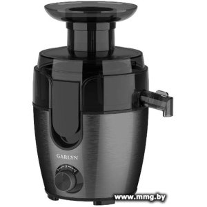 Купить Garlyn J-150 в Минске, доставка по Беларуси