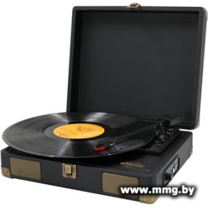 Купить Ritmix LP-100 (черный) в Минске, доставка по Беларуси