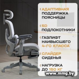 Купить Evolution ZX 2 (серый) в Минске, доставка по Беларуси