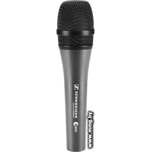 Купить Микрофон Sennheiser e 845-S в Минске, доставка по Беларуси