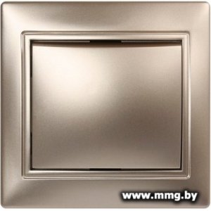 Купить Выключатель SmartBuy Венера SBE-01c-10-SW1-0-c в Минске, доставка по Беларуси