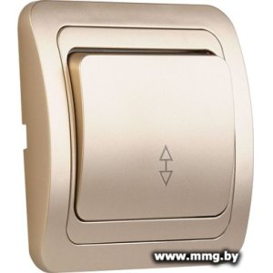 Купить Выключатель SmartBuy SBE-02c-10-SW12-0-c в Минске, доставка по Беларуси