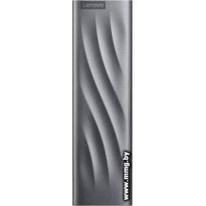 SSD 1TB Lenovo PS8 GXB1M24160