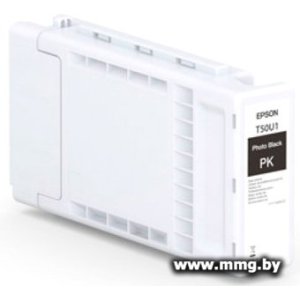 Купить Картридж Epson XD3 T50U1 Photo Black C13T50U100 в Минске, доставка по Беларуси