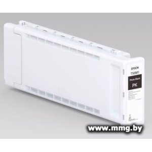 Картридж Epson XD3 T50M1 Photo Black C13T50M100