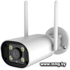 Купить IP-камера Ritmix IPC-460S-Tuya в Минске, доставка по Беларуси