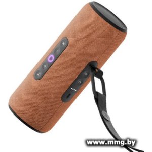 Купить Яндекс Станция Стрит (оранжевый) YNDX-00030ORG в Минске, доставка по Беларуси