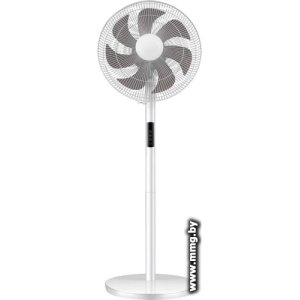 Primera SFP-4017MOR