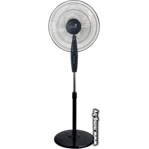 Vivaris VAF B043 043