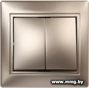 Купить Выключатель SmartBuy Венера SBE-01c-10-SW2-0-c в Минске, доставка по Беларуси