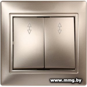 Купить Выключатель SmartBuy Венера SBE-01c-10-SW22-0 в Минске, доставка по Беларуси