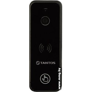 Купить Tantos iPanel 2+ (черный) в Минске, доставка по Беларуси