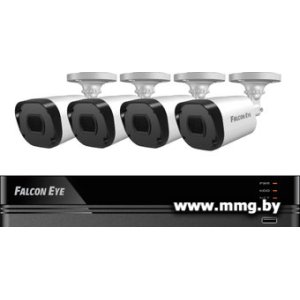 Купить Falcon Eye FE-104MHD Kit Дача Smart в Минске, доставка по Беларуси