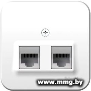Купить Розетка Schneider Electric Blanca BLNIA045111 в Минске, доставка по Беларуси