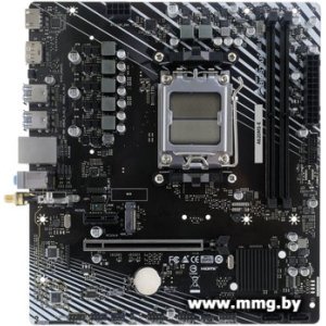 BIOSTAR A620MS-E Ver. 6.0