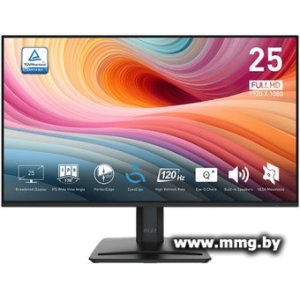 Купить MSI PRO MP251 E2 в Минске, доставка по Беларуси