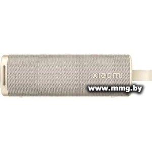 Купить Xiaomi Sound Outdoor (MDZ-38-DB) (золотистый) (QBH4370GL) в Минске, доставка по Беларуси