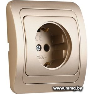 Купить Розетка SmartBuy Марс SBE-02c-16-S1-Z-c в Минске, доставка по Беларуси