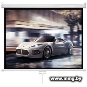 Купить Future Vision Business 300 300x218 W300WMW в Минске, доставка по Беларуси