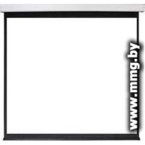 Купить Future Vision Cinema Electric 220 220x123.8 E220HMW в Минске, доставка по Беларуси