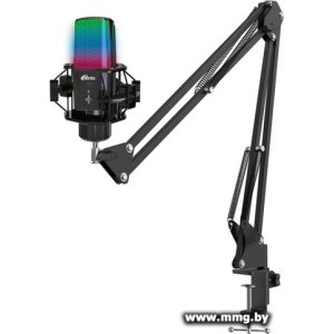 Купить Микрофон Ritmix RDM-270 (черный) в Минске, доставка по Беларуси