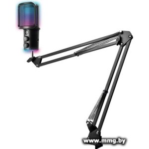 Микрофон Ritmix RDM-278 USB Gaming (черный)