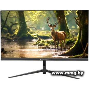 Mastero P2222H