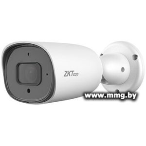 Купить IP-камера Temid BS-852B31C-S2-MI-S в Минске, доставка по Беларуси