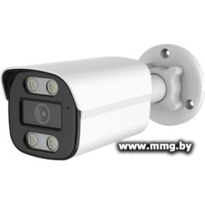 Купить IP-камера Orient IP-410C в Минске, доставка по Беларуси