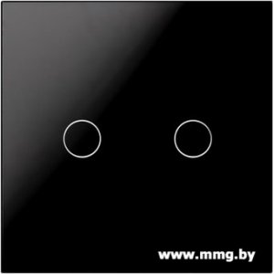 Купить Умная выключатель SmartBuy SBE-wifi1b-10-SW2-0 в Минске, доставка по Беларуси