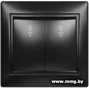 Купить Выключатель SmartBuy Венера SBE-01b-10-SW22-0 в Минске, доставка по Беларуси