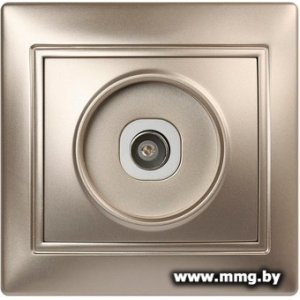 Купить Розетка SmartBuy Венера SBE-01c-S1-TV в Минске, доставка по Беларуси