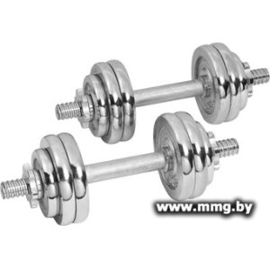 Купить Набор гантелей с соединительным грифом Alpin DB-20кг в Минске, доставка по Беларуси