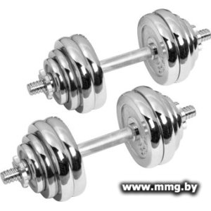 Купить Набор гантелей с соединительным грифом Alpin DB-30кг в Минске, доставка по Беларуси