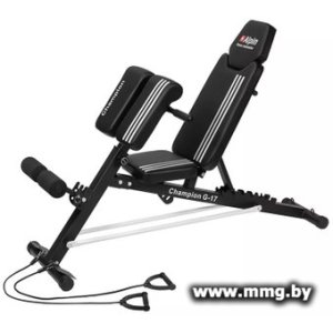 Купить Силовая скамья Alpin Champion G-17 в Минске, доставка по Беларуси