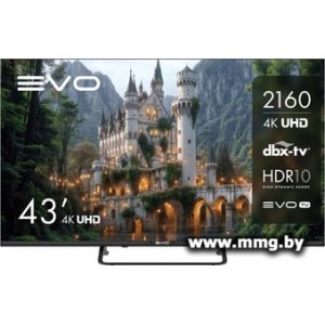 Купить Телевизор Evo TV 43 Black TD0051752RU в Минске, доставка по Беларуси