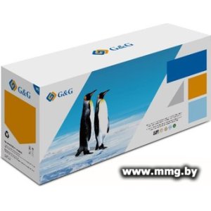 Картридж G&G GG-W2413A (аналог HP W2413A)