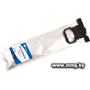 Картридж G&G GG-C13T05A100