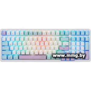 Acer OKW304 (ZL.KBDCC.01V)