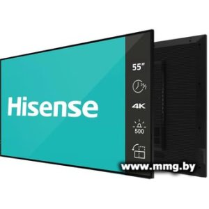 Hisense 55DM66D