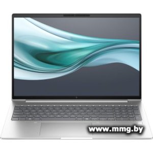 HP EliteBook 660 G11 902D8AV