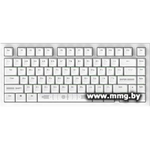 Купить Дарк Проджект CM81 Zeno (g3ms Sapphire, белый) (DP-CM81ZWC) в Минске, доставка по Беларуси