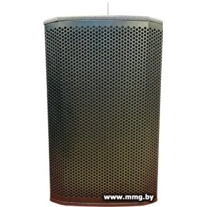 Активная акустика Acury DS12W